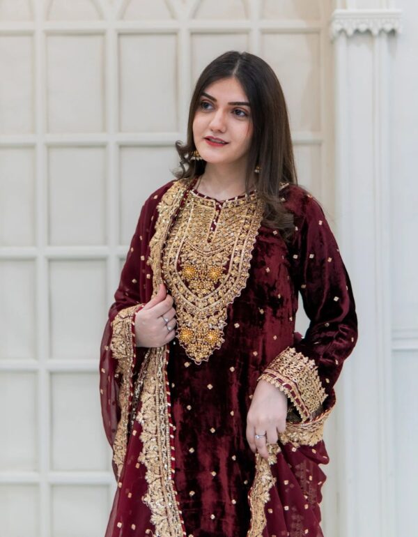 Regal Velvet Zari Anarkali - Festive Edition