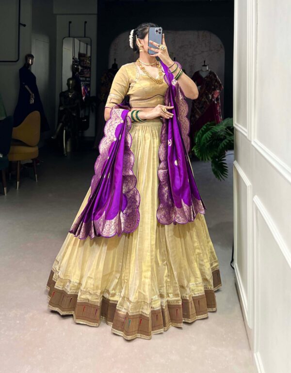 Varnika Zari Splendor Royal Looks Lehenga Choli