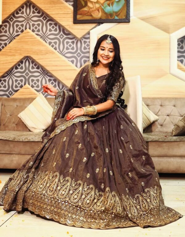 Golden Grace in Chocolate Hues – Designer Lehenga Choli