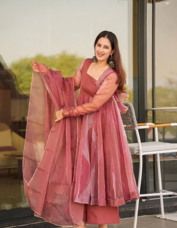 Reeva’s Blush Breeze Organza Anarkali Set
