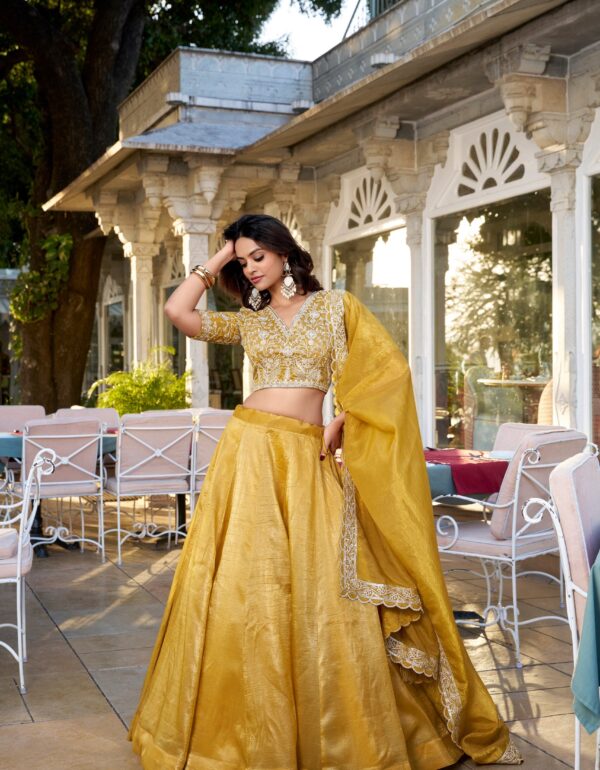 Twinkling Elegance Zari and Embroidery Lehenga for Special Occasions