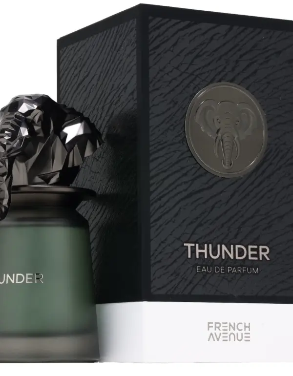 French Avenue Thunder For Men EDP 100ml
