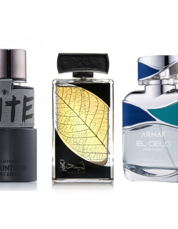 Decant/Sample Feel of Invictus Series, Lattafa Najdia, Armaf El Cielo, Hunter Intense 10ml x3