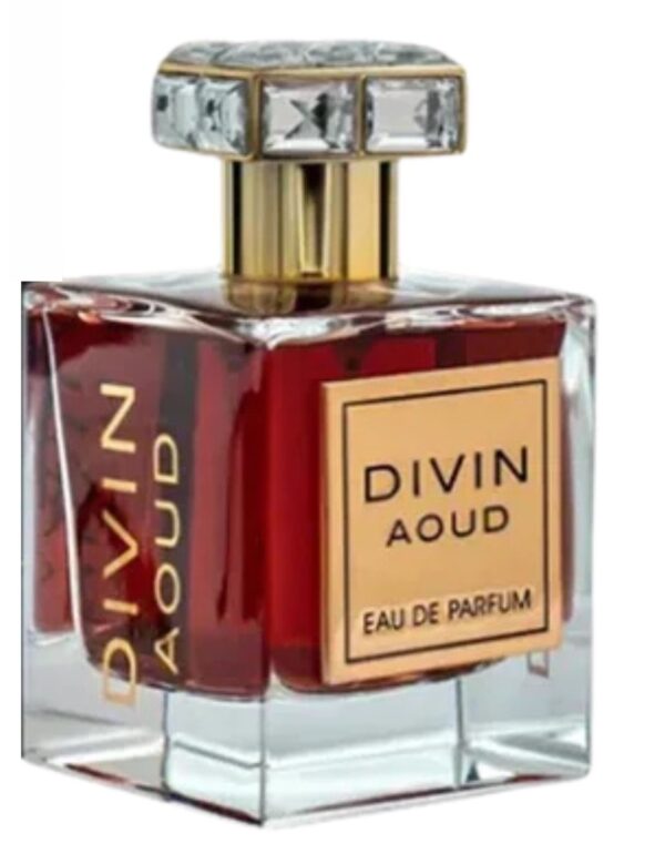 Decant/Sample Fragrance World Divin Aoud For Men EDP 10ml