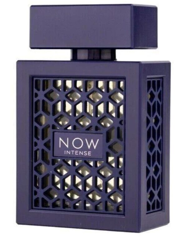 Decant/Sample Lattafa Rave Now Intense For Men EDP 10ml