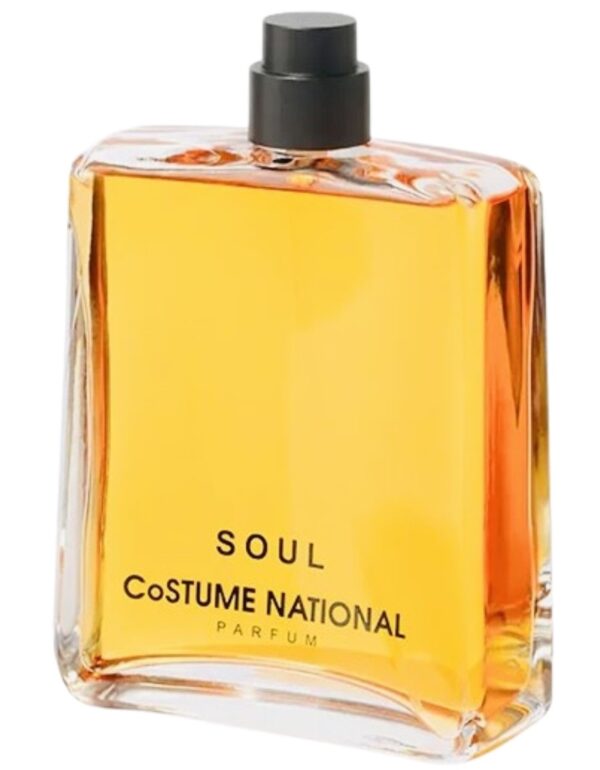 Decant/Sample Costume National Soul For Men Parfum 10ml